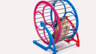 5 Ways to Refresh Yourself When You Don’t Have Time