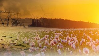 Apocalypse in the Bible