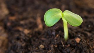 What Do the Symbols of Baptism Mean?