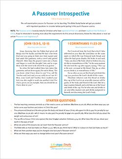 A Passover Introspective