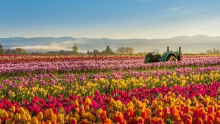 Caring for God’s Creation