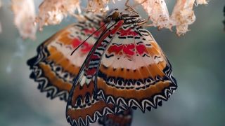 Christian Conversion: How Does the Bible Say We Become Christians?