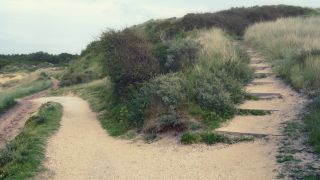 Following in His Footsteps