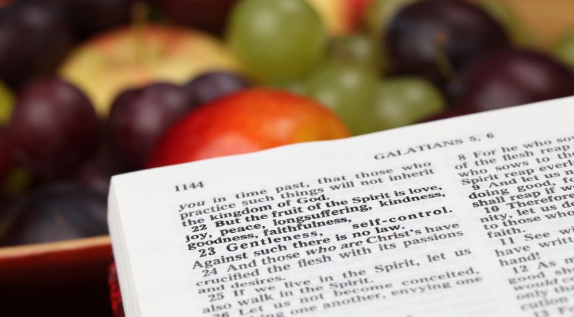 The Fruits and Gifts of the Holy Spirit