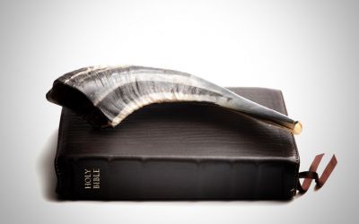 What Do Horns in the Bible Mean?