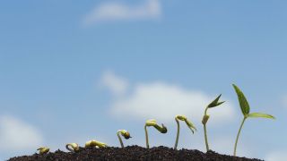 What Does It Mean to Be Called by God?