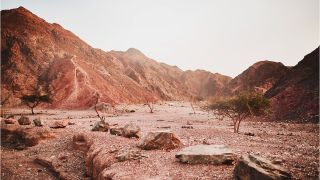 Jesus’ Temptation in the Wilderness: What Can It Teach Us?