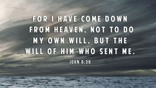 Jesus, the Son of Man