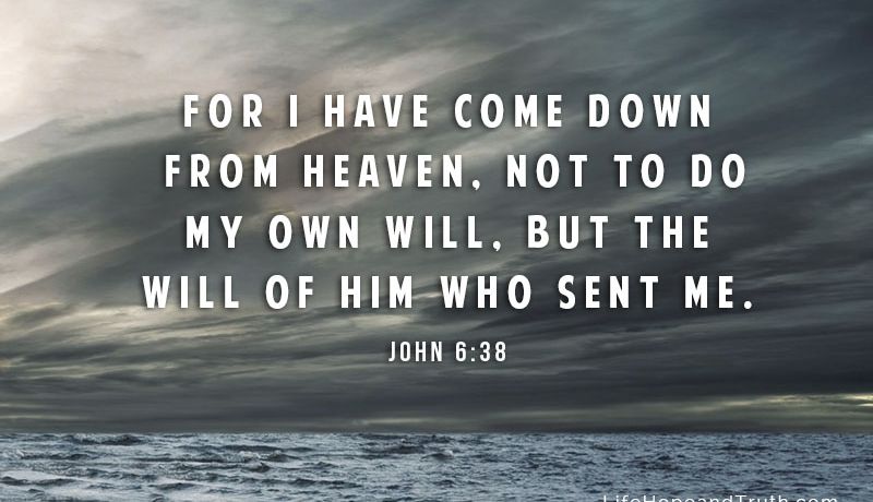 Jesus the Son of Man