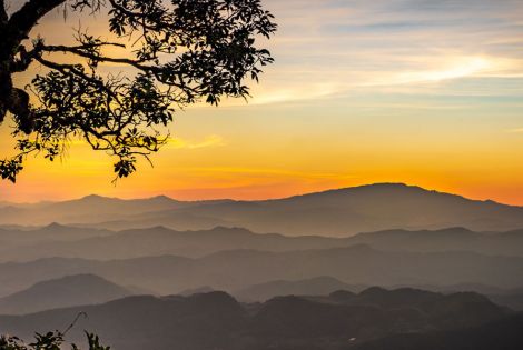 Learn more about the Kingdom of God.