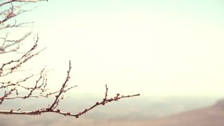 Learning to Live Again