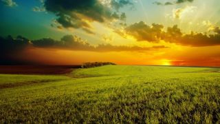 1,000 Years—the Millennium