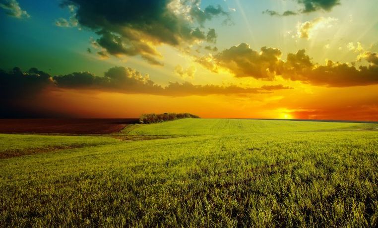 1000 Years the Millennium