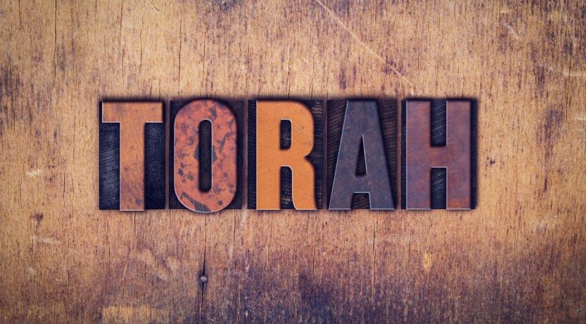 What Is the Torah?
