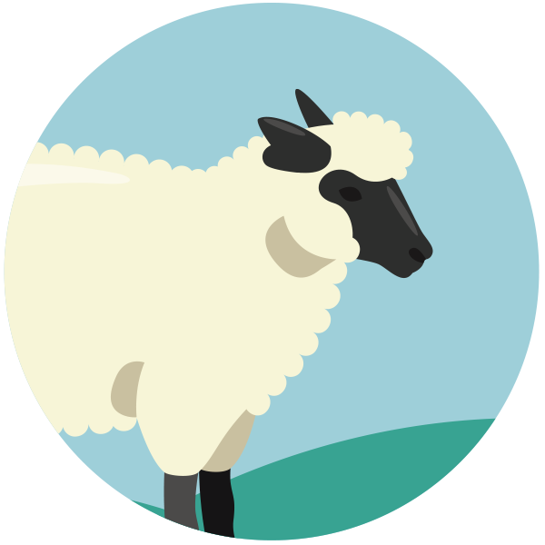 Shepherding the Heart