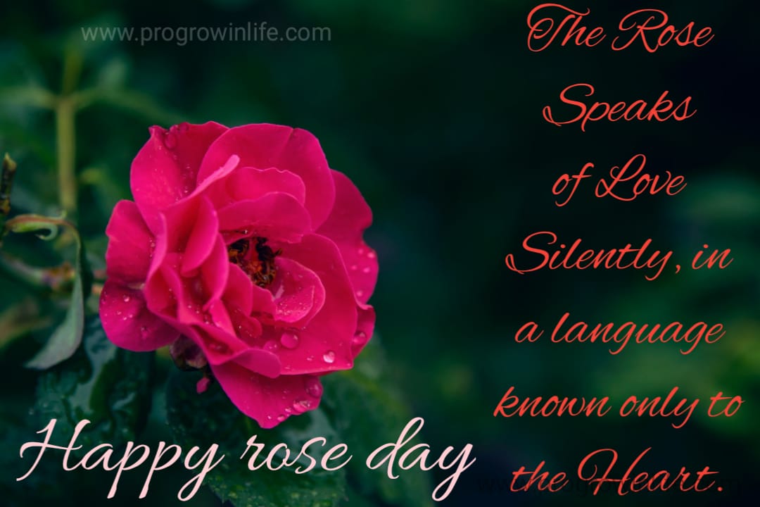 happy rose day my best friend