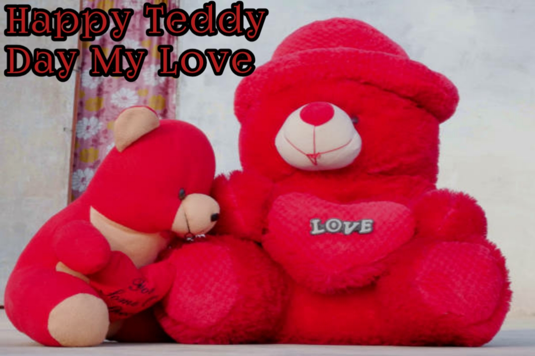 happy teddy day images