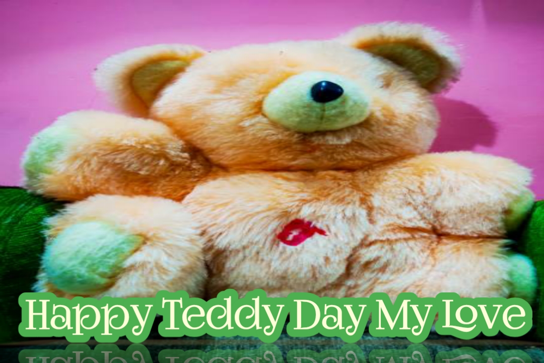 happy teddy day for love