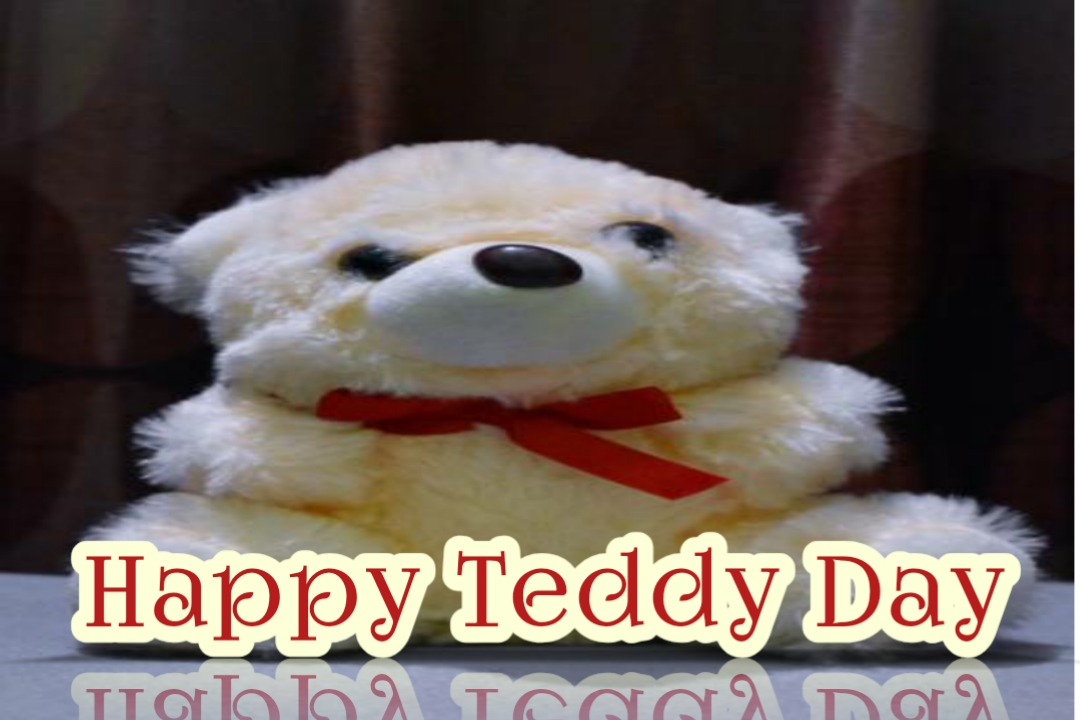 happy teddy day my love