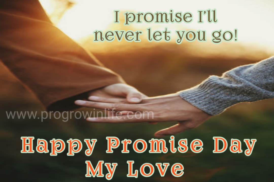happy promise day my love