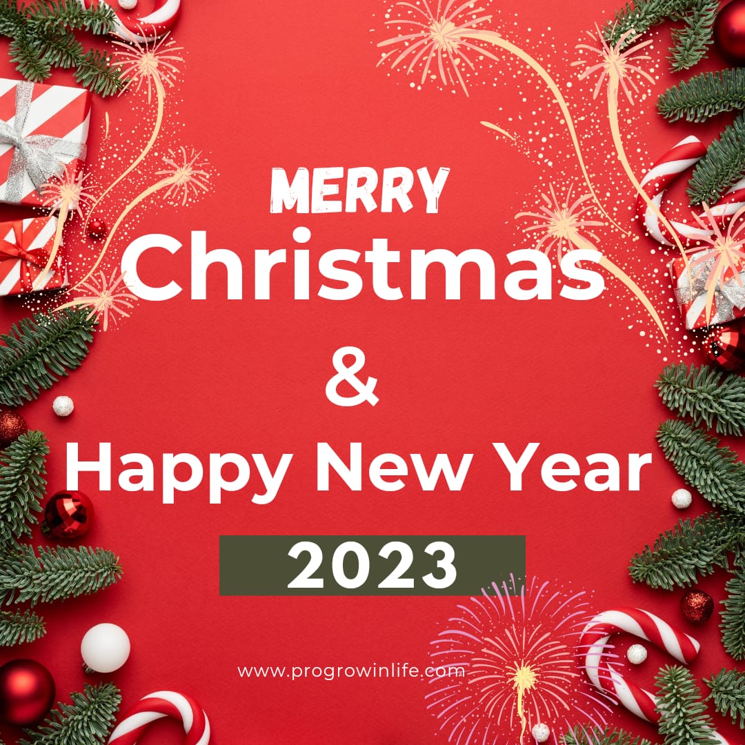 merry Christmas and happy new year 2023 Wishes Quotes