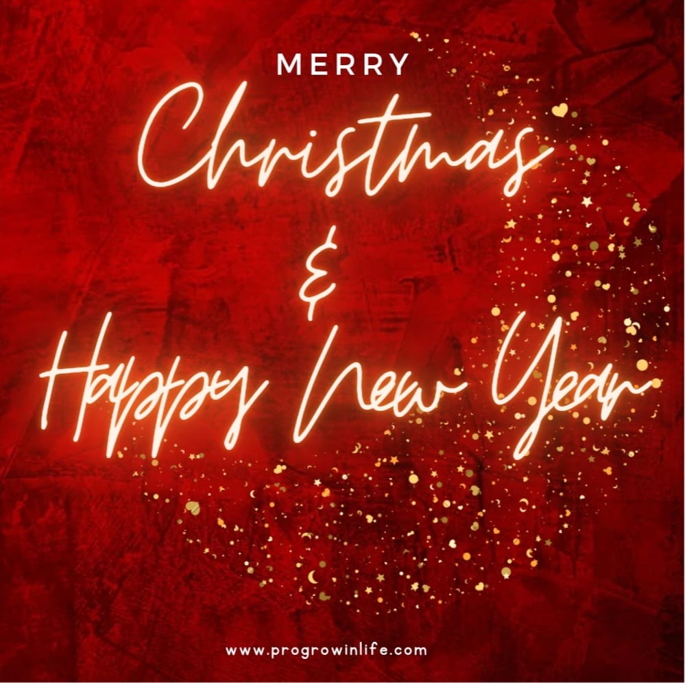 Merry Christmas and Happy New Year 2023.