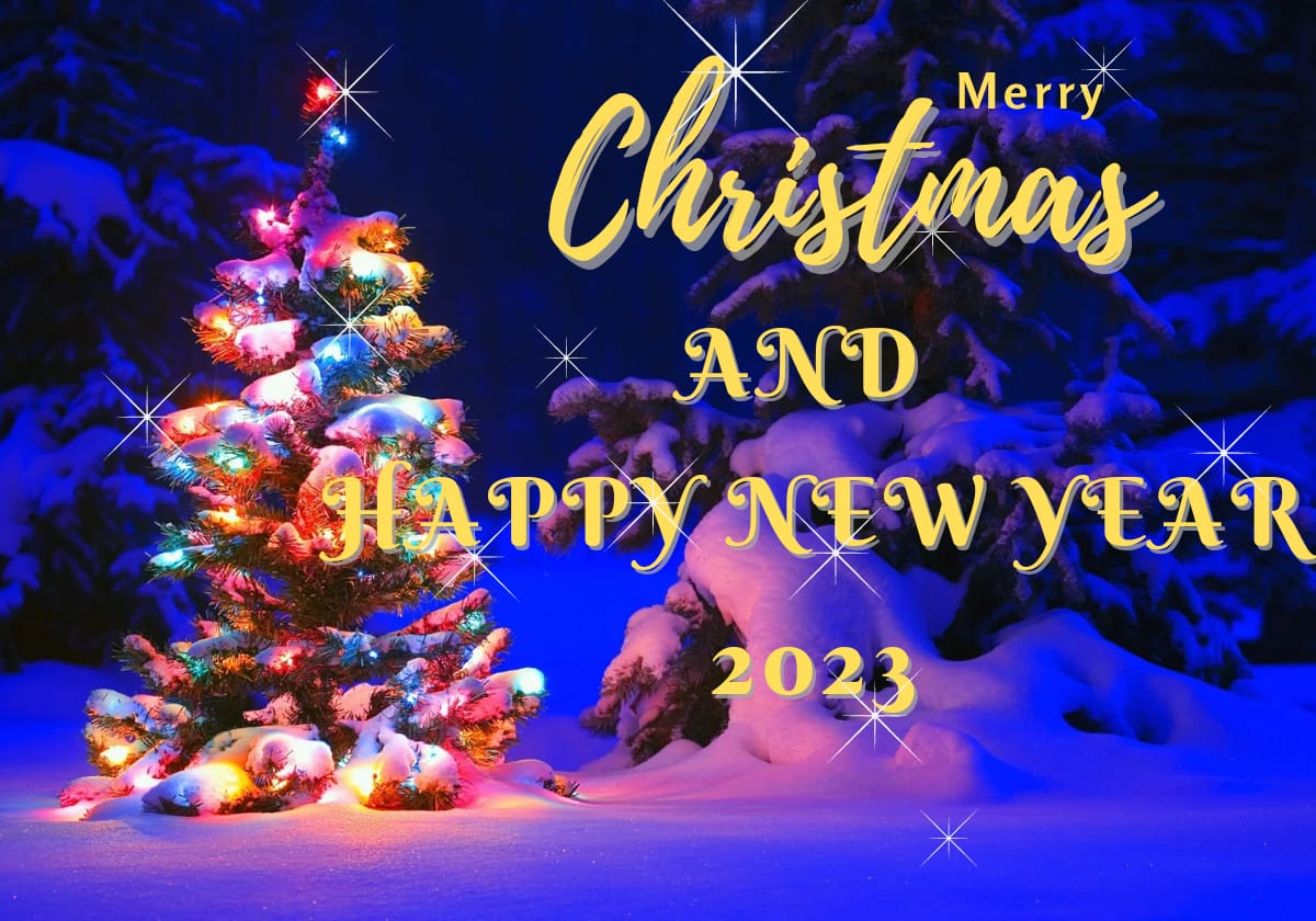100 Merry Christmas And Happy New Year 2023 Wishes And Quotes Progrowinlife
