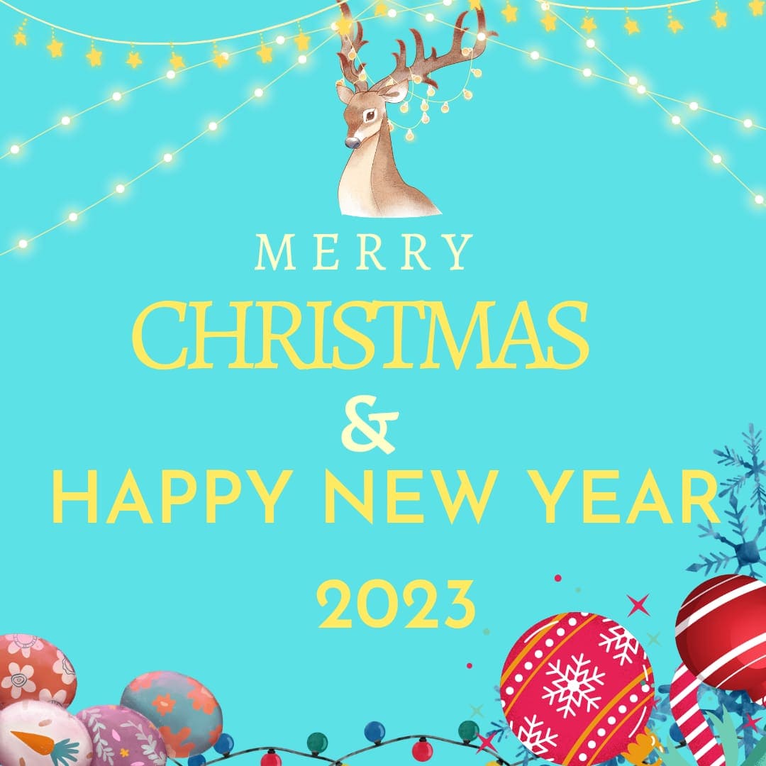 Merry Christmas and happy new year quotes