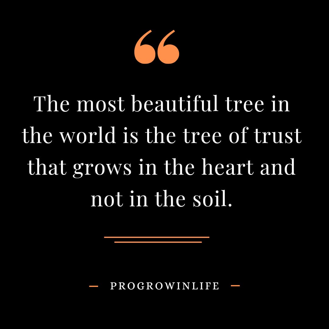 The most beautiful tree in the world is the tree of trust that grows in the heart and not in the soil