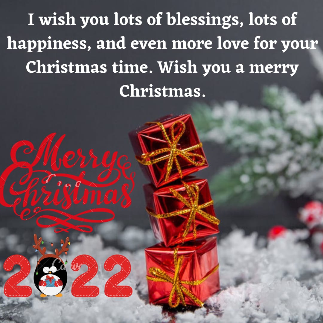 I wish you a merry Christmas message