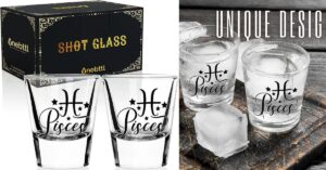 Zodiac Pisces Sign Shot Glass Set of 2, Unique February March Birthday Gifts for Women