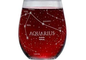 Greenline Goods Aquarius Stemless Wine Glass Etched Zodiac Aquarius Gift 15 oz (Single Glass) - Astrology Sign Constellation Tumbler