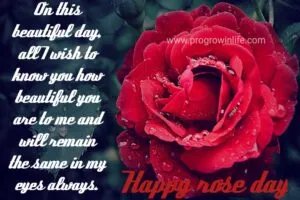 happy rose day sayari