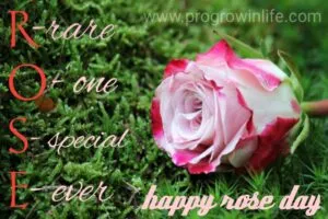 happy rose day pic