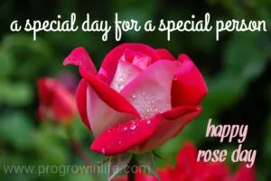 happy rose day for wife
