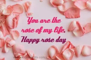 happy world rose day 2022