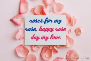 happy rose day for husband