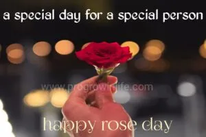 happy rose day for her