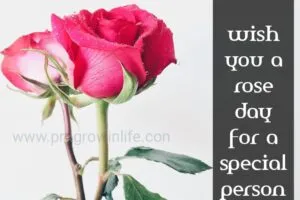 happy rose day quotes