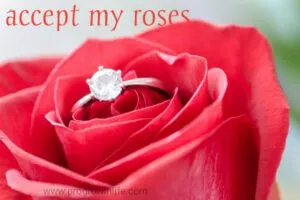 happy rose day wishes