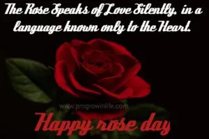 beautiful happy rose day