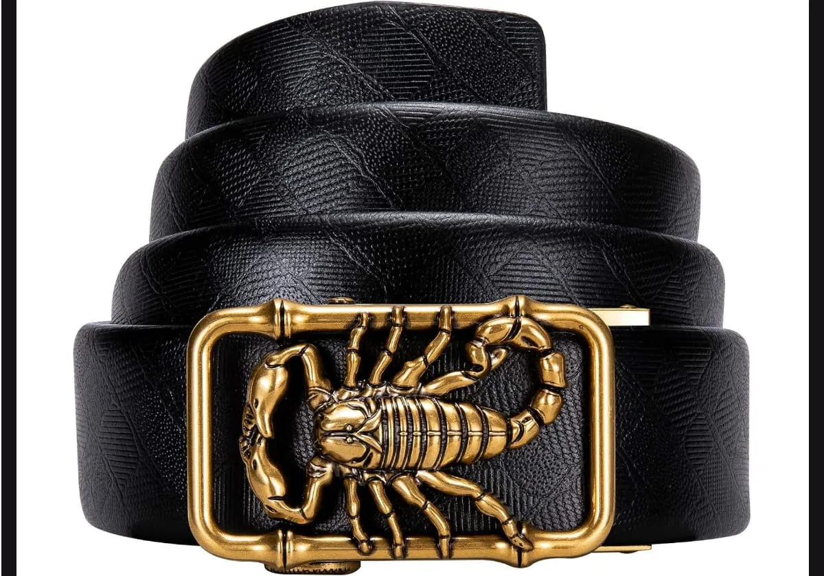 Dubulle Designer Mens Belts, Sliding Automatic Buckle Ratchet Dress Belt TOP Genuine Leather Strap Gifts