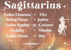 December 10 Zodiac sign compatibility/ 10 December zodiac sign compatibility